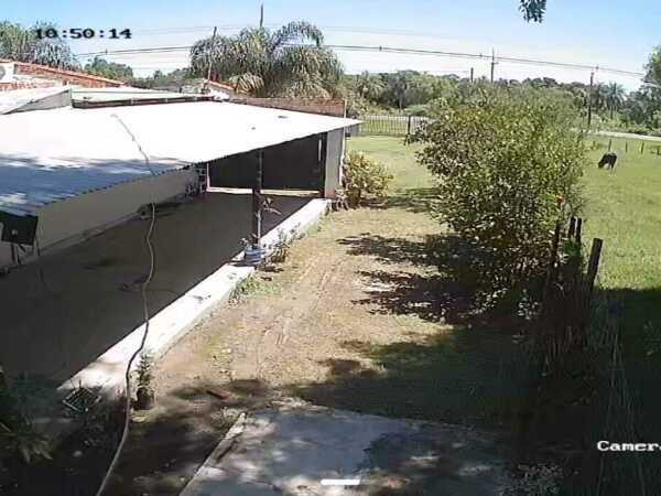 Casa en villa oliva, foto 3
