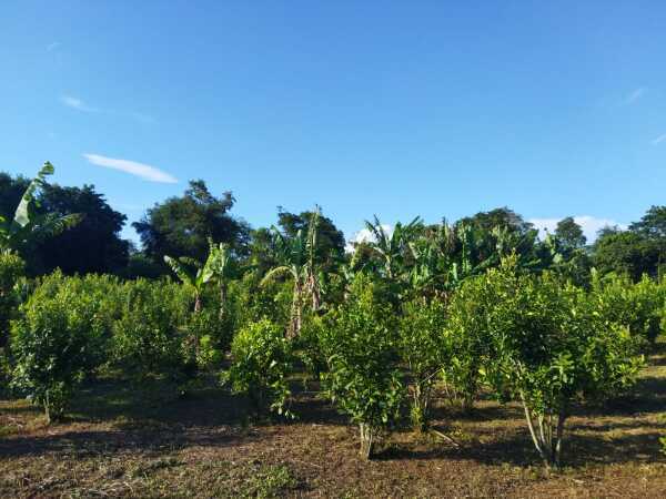 En venta propiedad rural en parana poty — foto 4