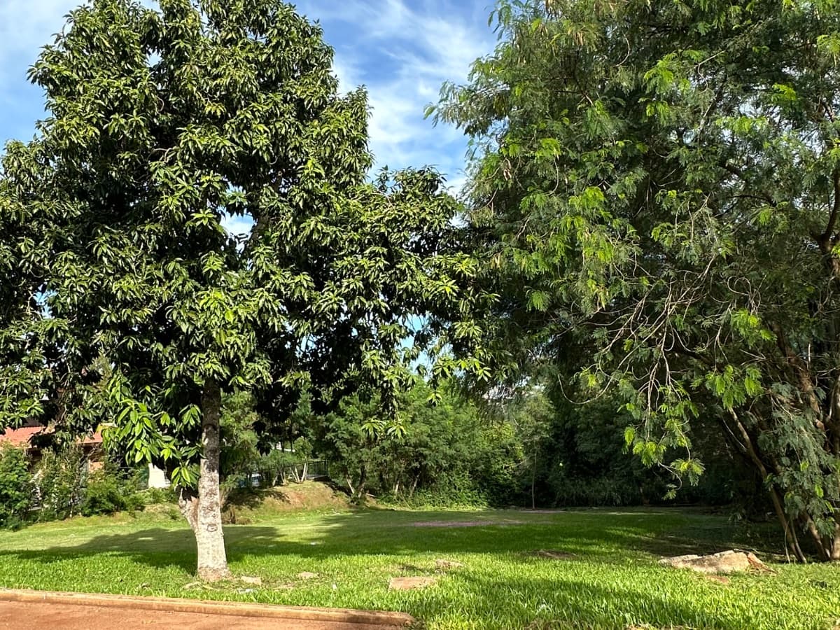Terreno en paraná country club, foto 4