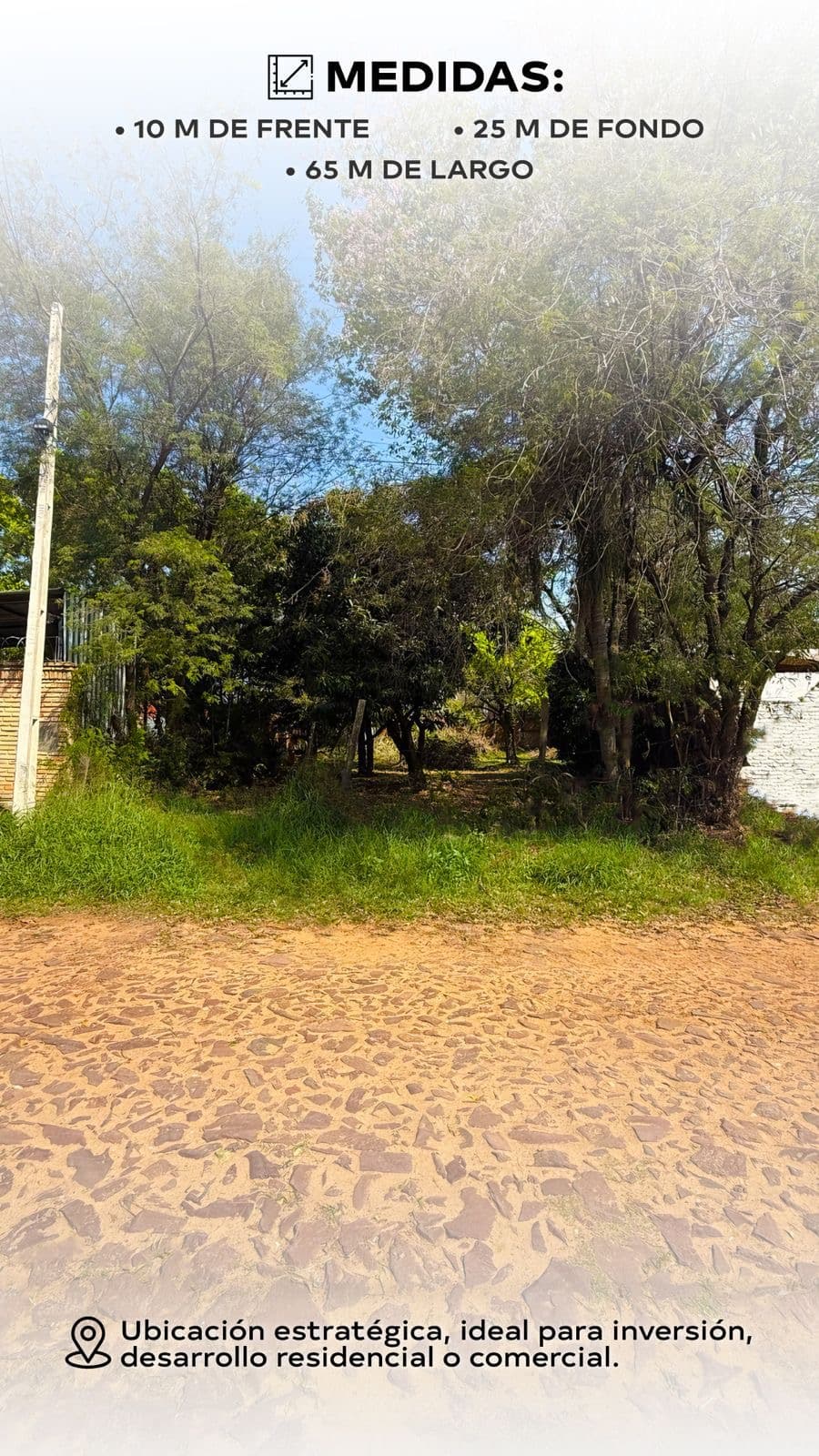 Terreno en Palma Loma Luque, foto 1