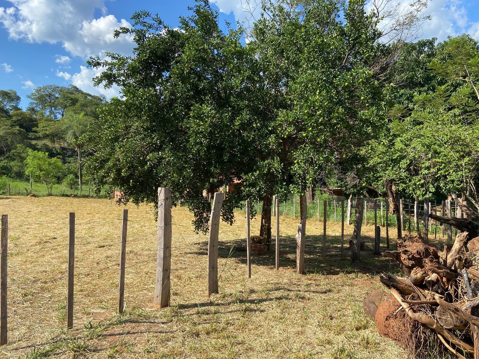 Oferta !! Vendo terreno caacupe 450 m2, foto 2