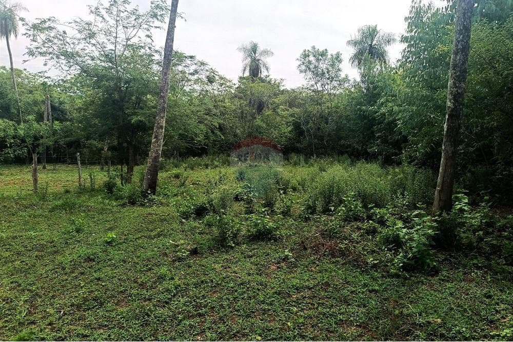 Terreno en Nueva Colombia, foto 3