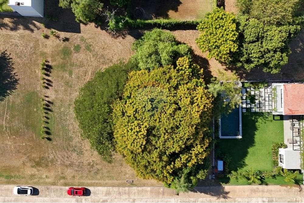 En Venta Terreno Luque, foto 4