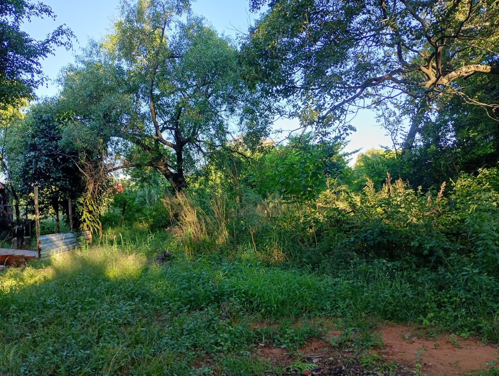 Terreno En Luque, foto 2