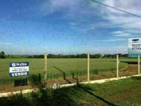 13 hectareas en santa rita, foto 1