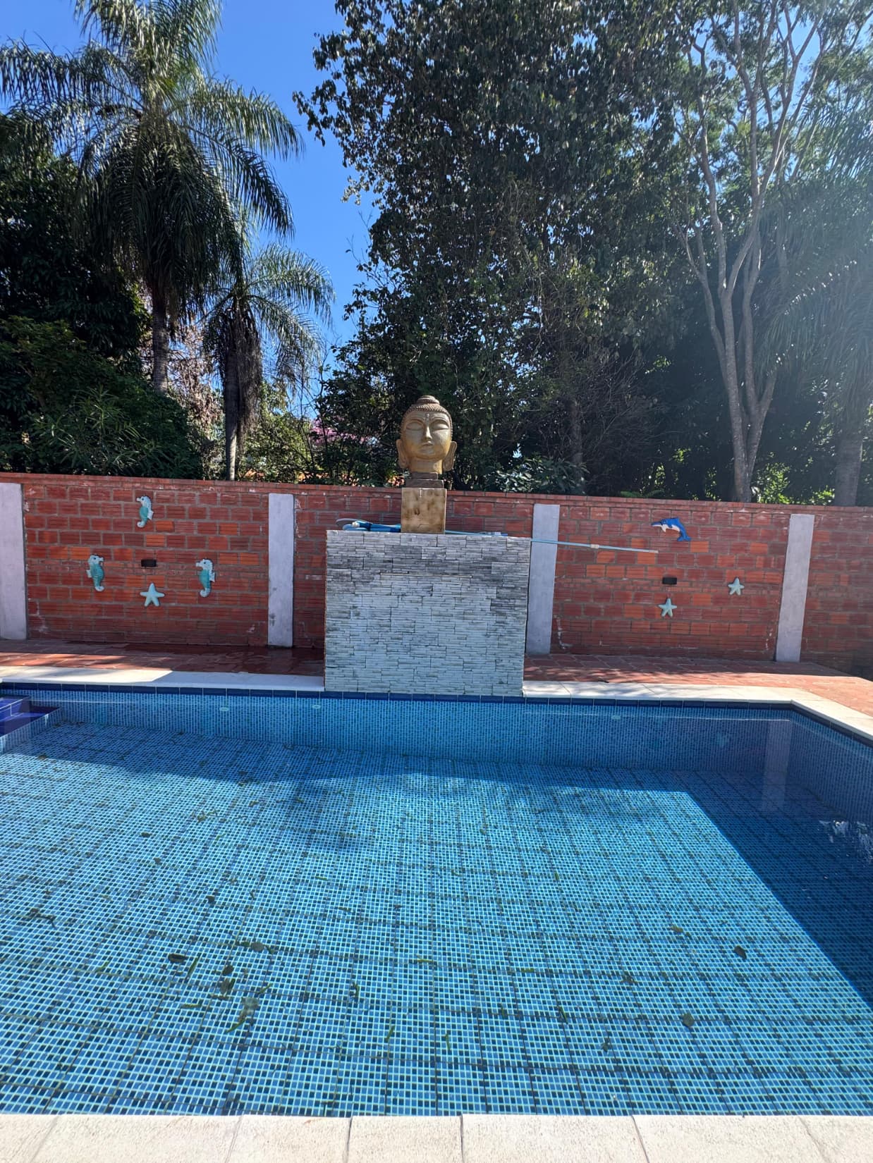Oportunidad en limpio !! Casa tipo quinta en salado, foto 4