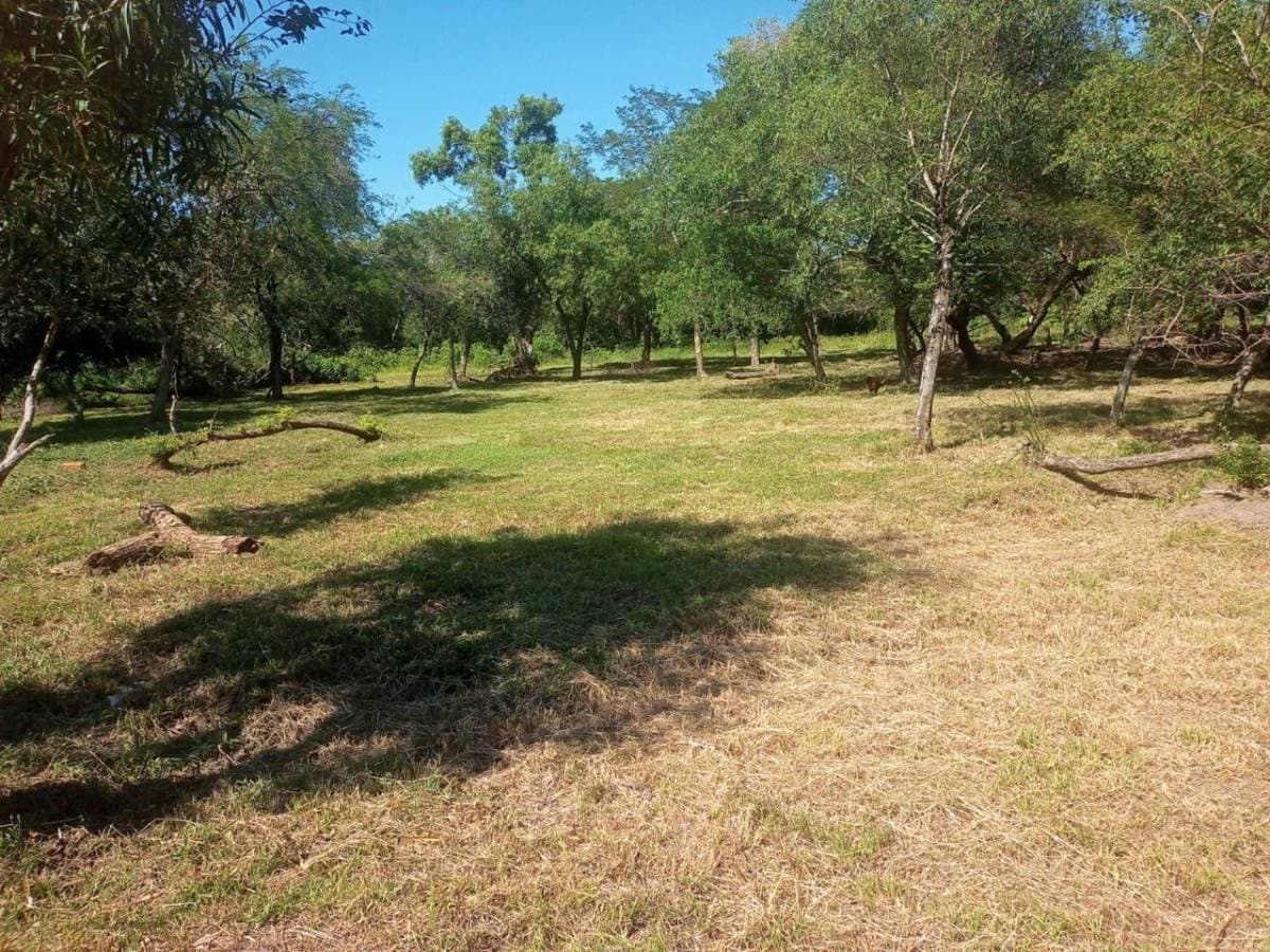 Terreno de 2.650,0 m2 en san bernadino - ciervo cuá, foto 4