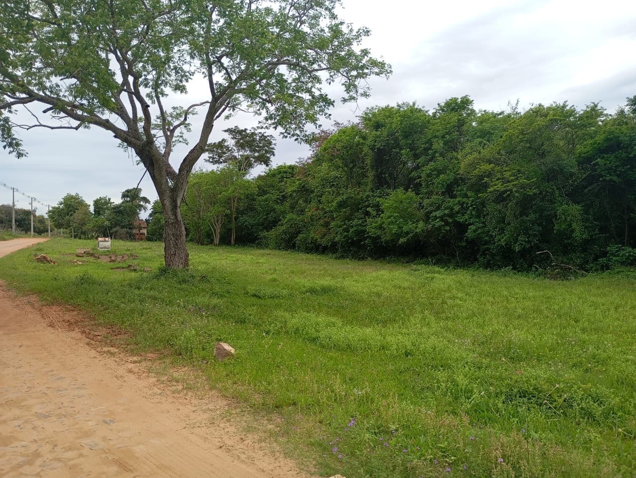 Terreno en zarate isla - Luque, foto 3