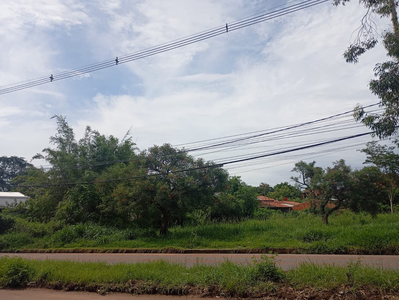 Terreno en Luque!, foto 2