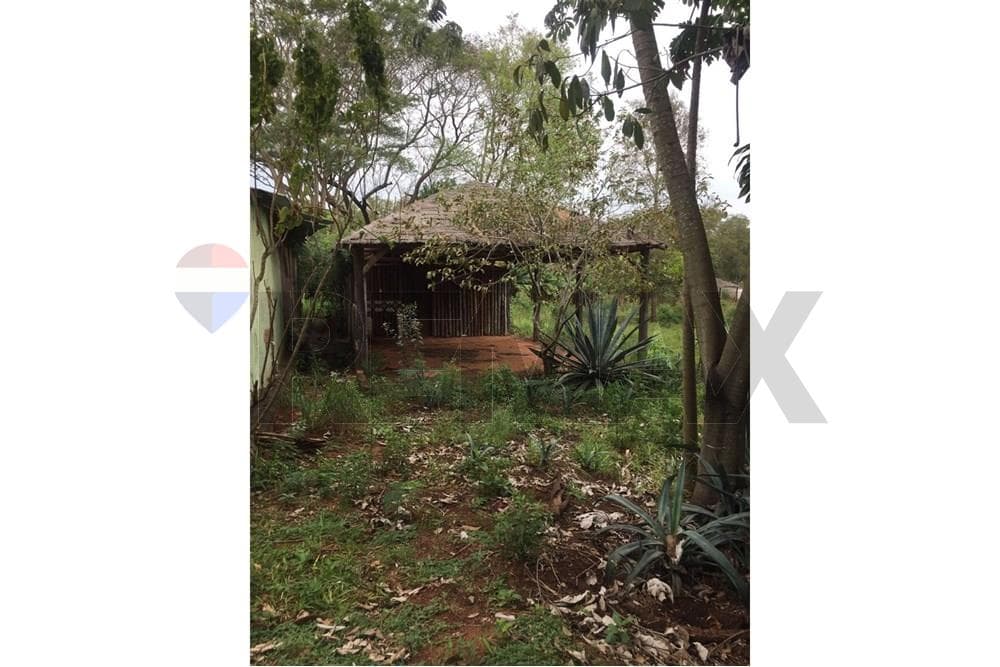 1.4 hectareas en santani, foto 2