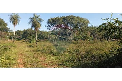 Terreno - Venta - Paraguay Central 15 hectáreas en venta - Ruta Luque Sanber, foto 2