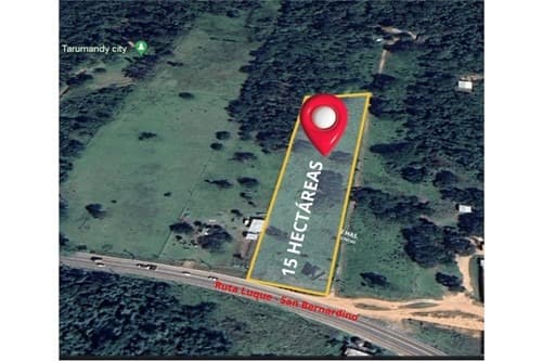 Terreno en Luque, foto 5