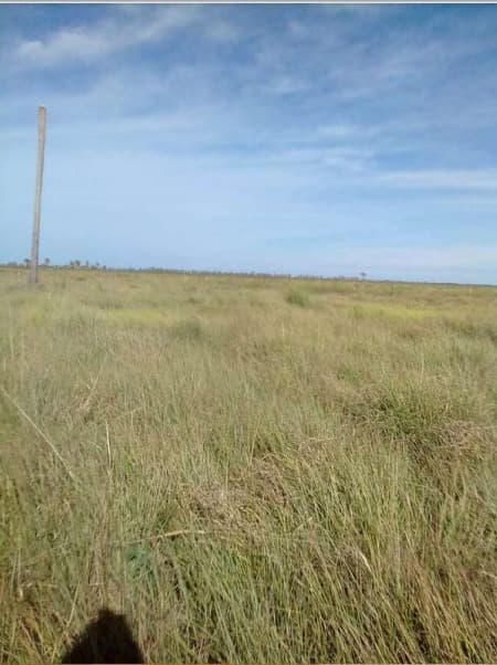Campo de 4.911 Hectáreas, Zona Arroyos y Esteros - CLCS6233254, foto 2
