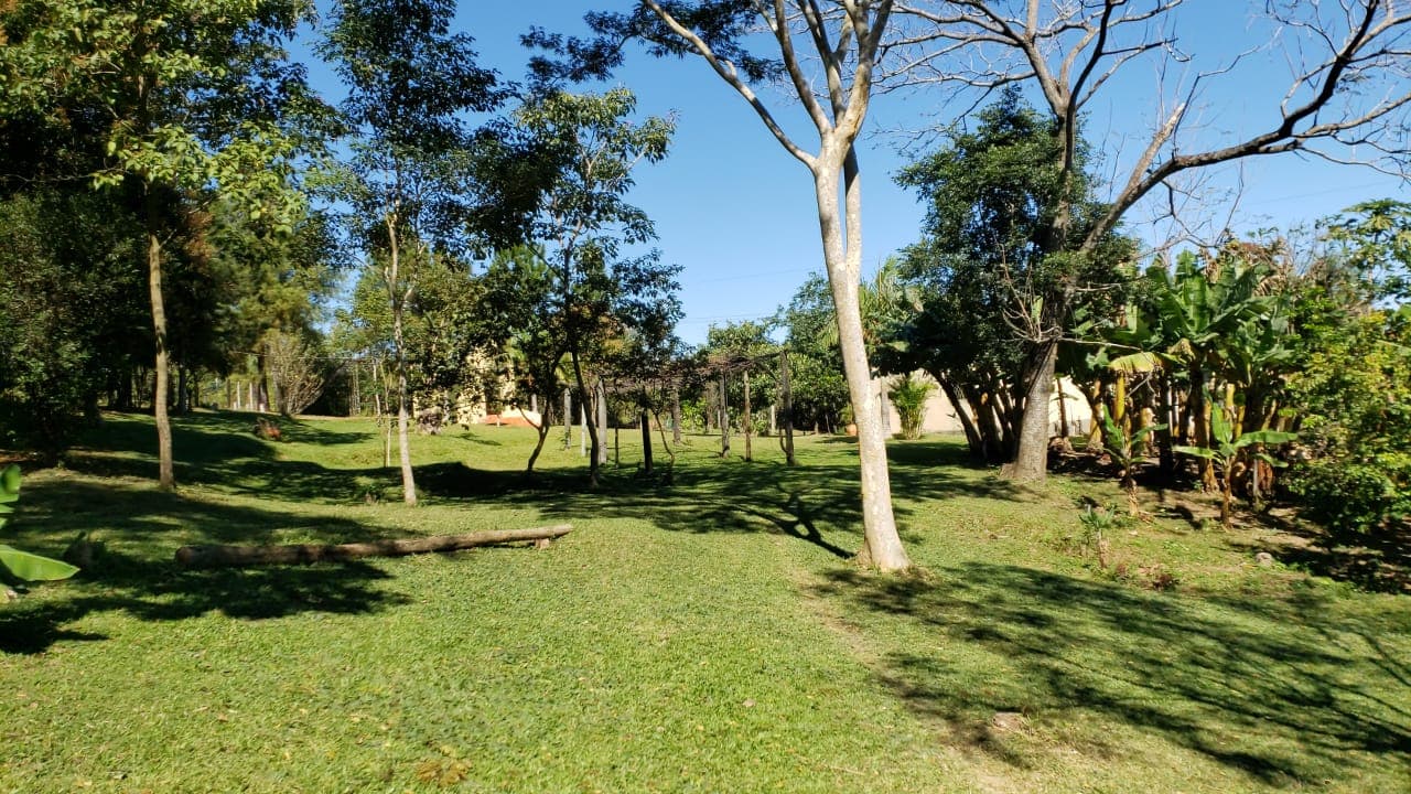 9.3 ha. Sobre ruta 2 en caaguazu km 169, foto 4