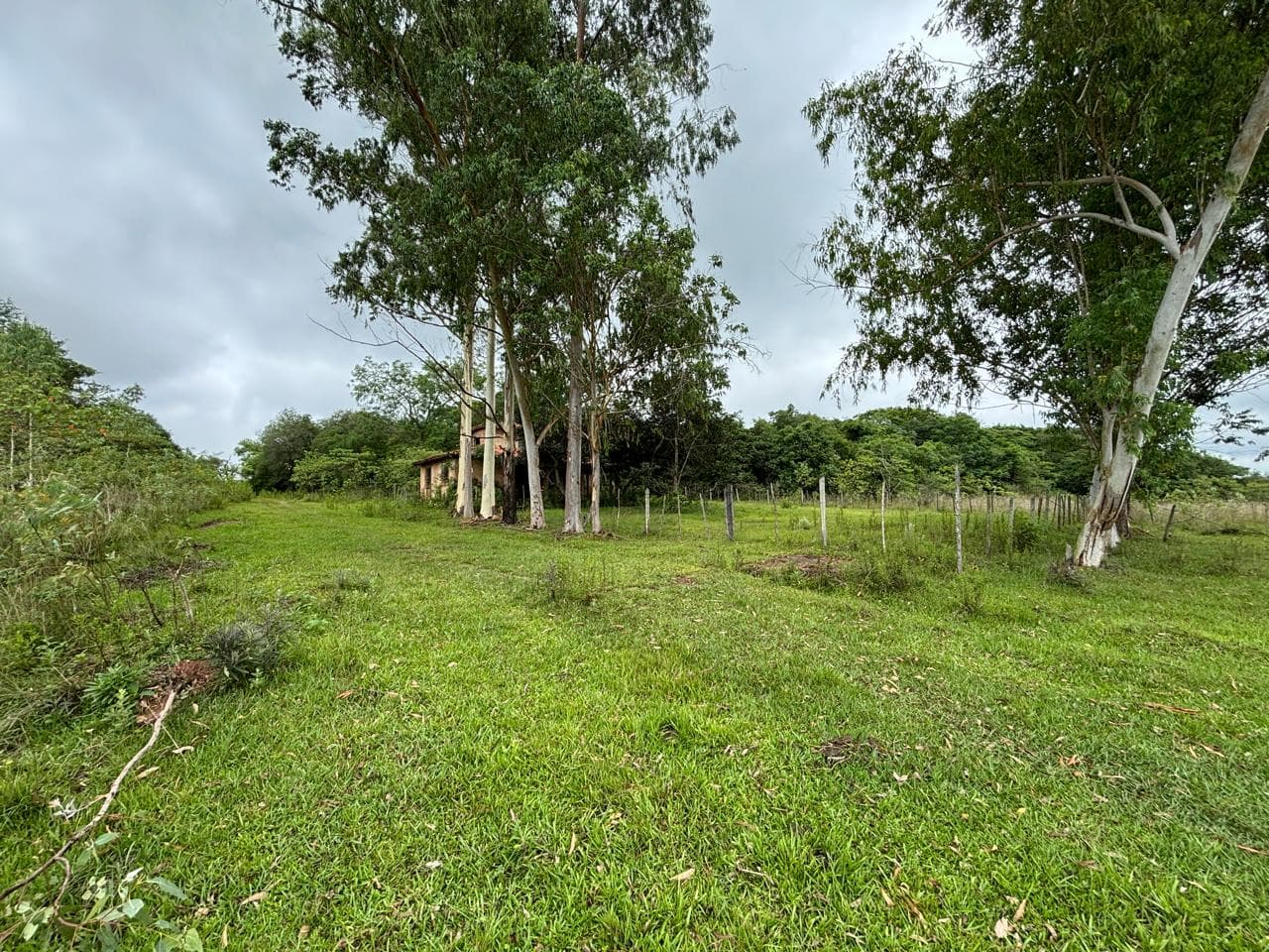 Terreno en itacurubi de la cordillera, foto 4