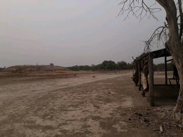 Estancia en alto paraguay-fortin florida, 1500has, foto 3