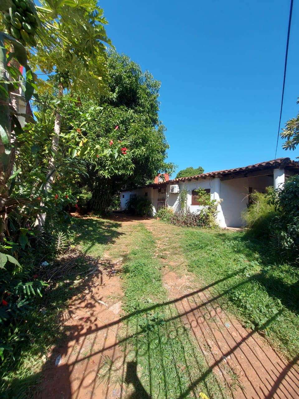 Terreno de 756 m2 Sobre Cacique Lambaré. COD A6, foto 1