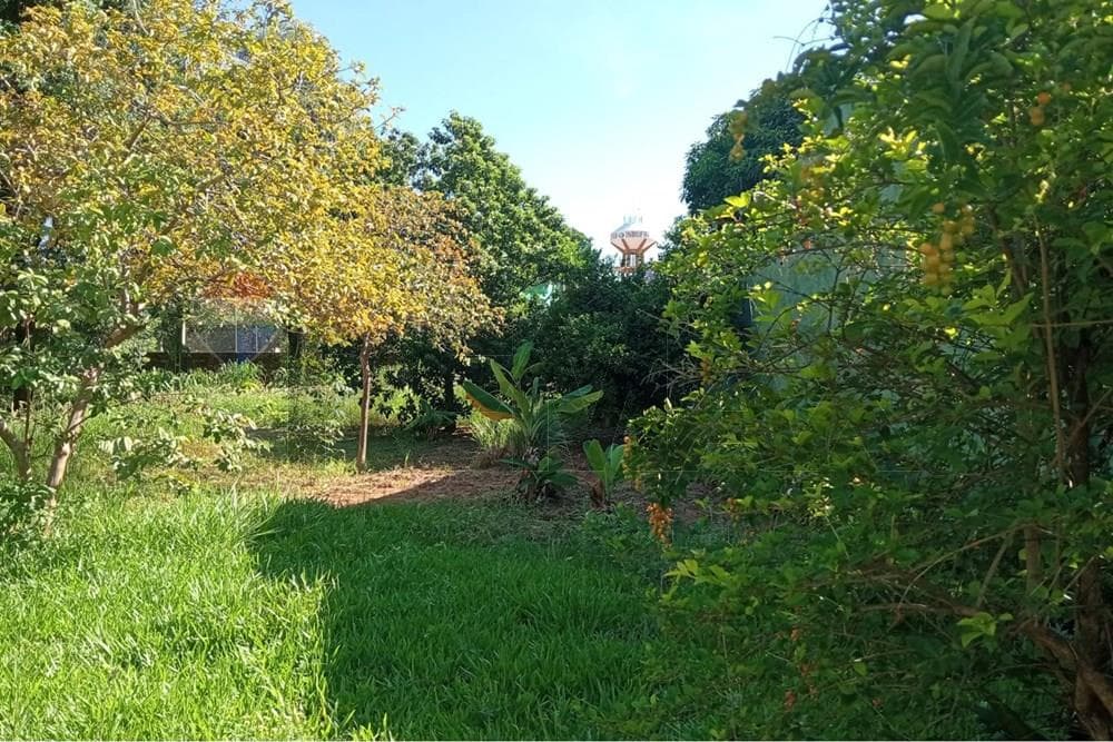 Terreno en venta – Laguna Grande, F. de la Mora, foto 5