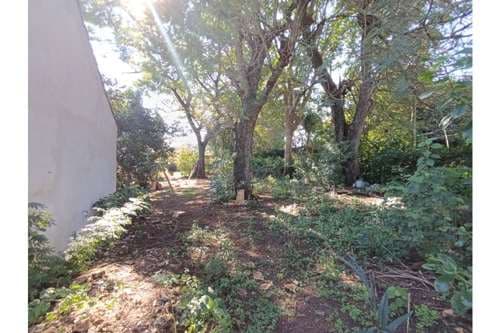 Terreno-Venta-Primavera, , Ñemby, Central, foto 2