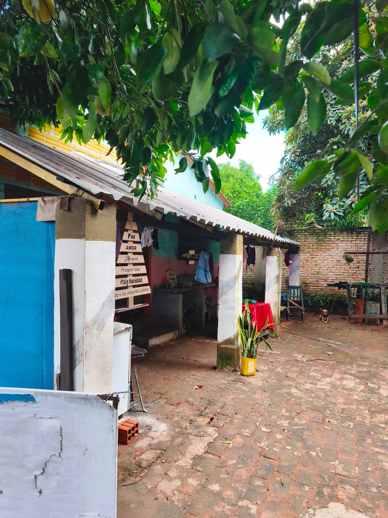 Casa à Venda – Imóvel De 3 Ambientes Com Amplo Pátio, foto 2