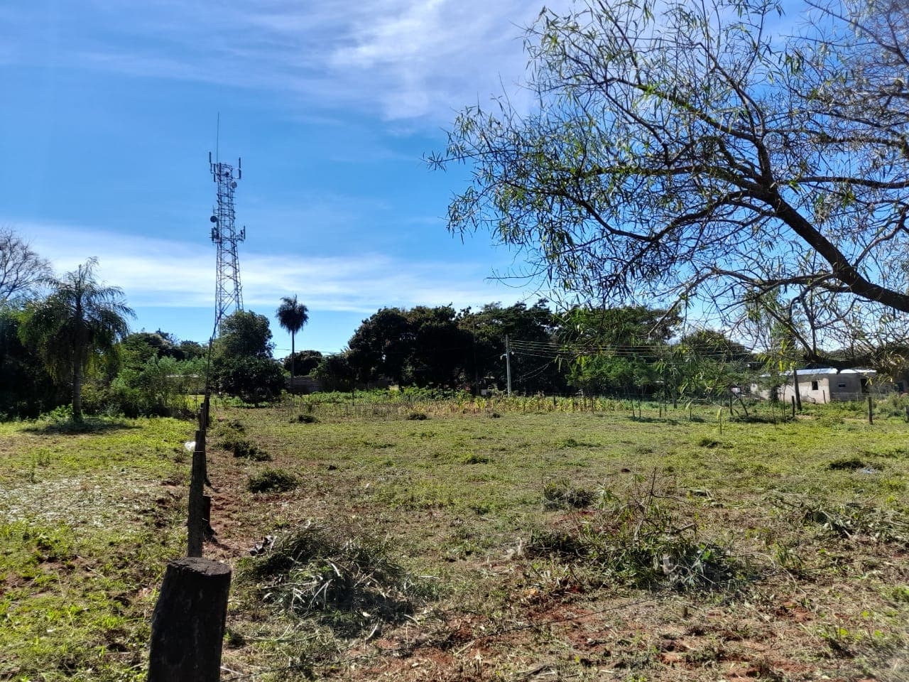 5 terrenos juntos en esquina en ypane-paso de oro — foto 5