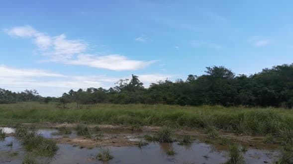 Hermosa estancia en yaguaron, foto 2