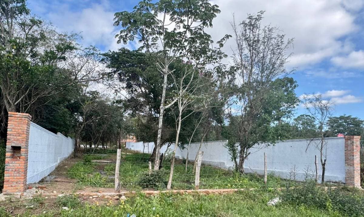 Terreno en San Bernardino, foto 2