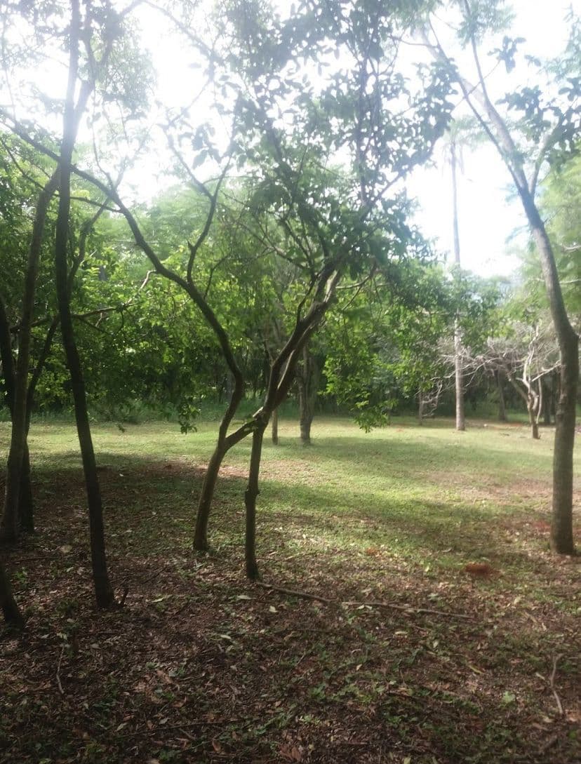 En Venta Lote De 1.276 M2 En Atyra - Barrio Cerrado, foto 4