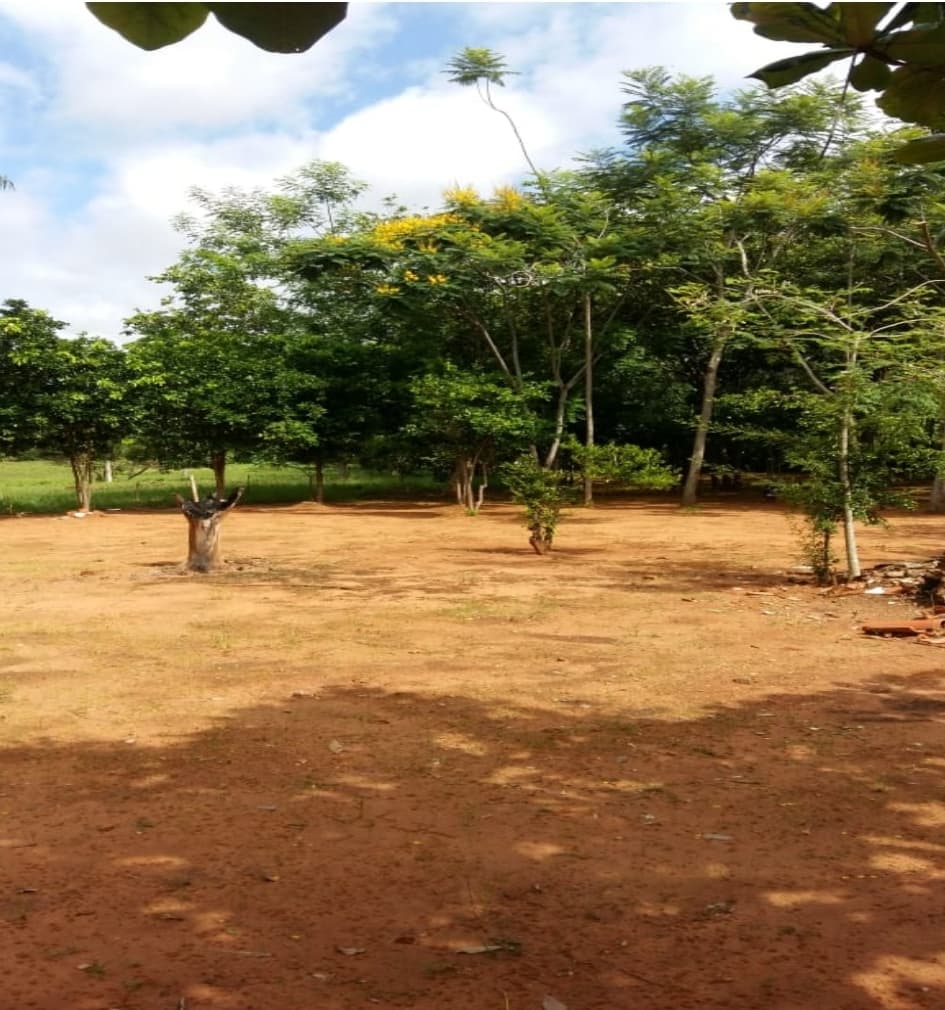 ¡Oportunidad Única! OFERTA Terreno Estratégico en Luque - Limpio, a Solo 500 Metros de Ruta San José 1 — foto 4