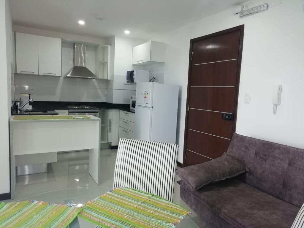 departamento de 1 dormitorio amoblado en el Edificio Robelini-San Vicente, foto 3