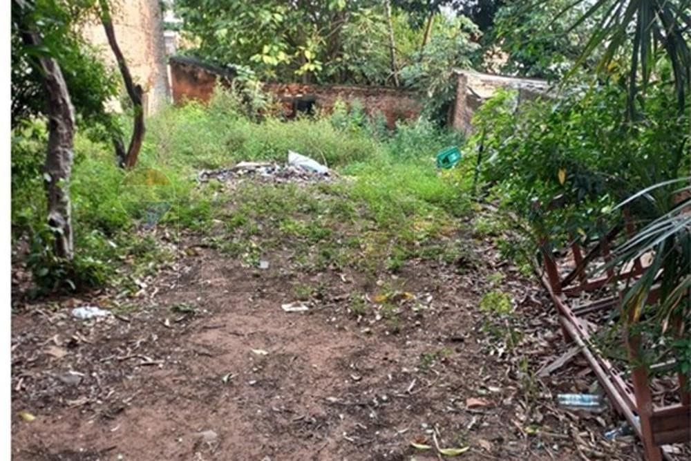 Terreno - Venta - Ciudad Nueva, Paraguay, foto 3