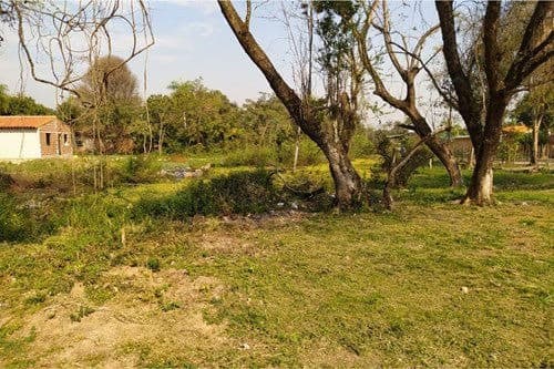 Terreno en venta, Luque, foto 2