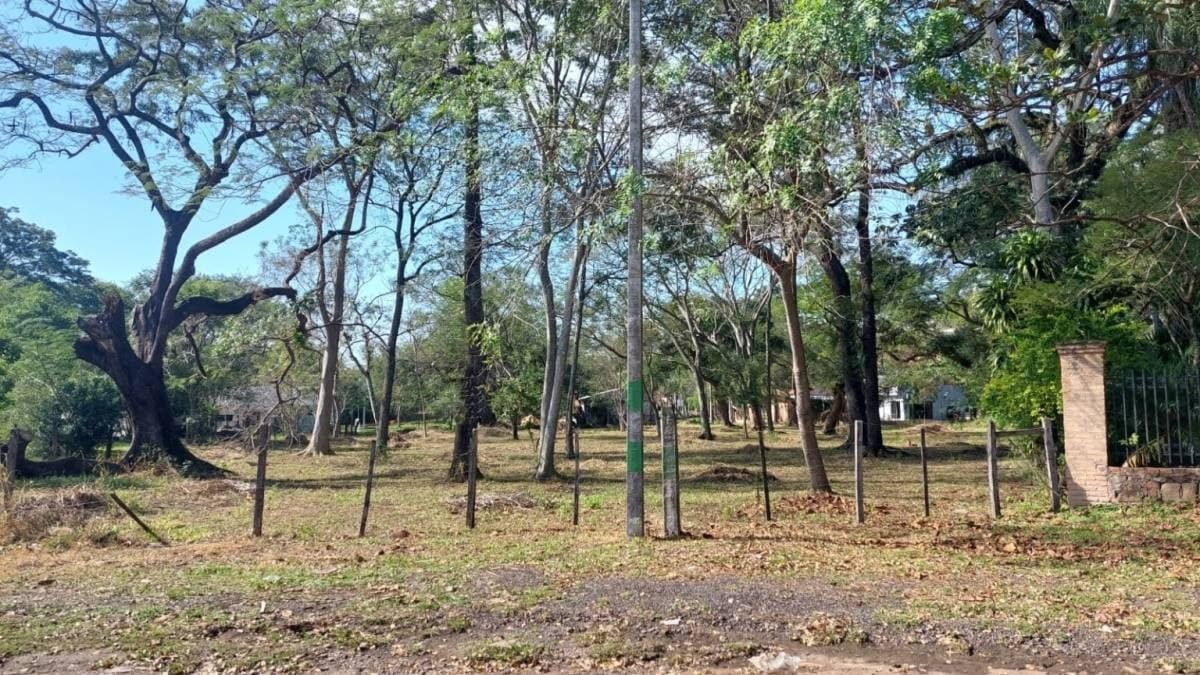Se vende terreno en ypacarai - a 150 metros de ruta 2, foto 4