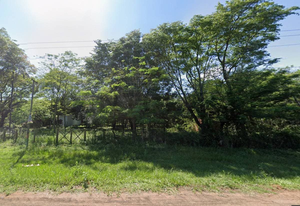 de Terreno en Altos, Cordillera, foto 5