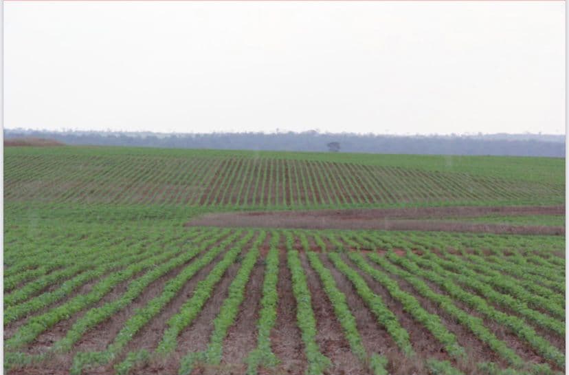 Campo de 9.158 Hectáreas en Ita Verá, Amambay-CLCS5654176, foto 3