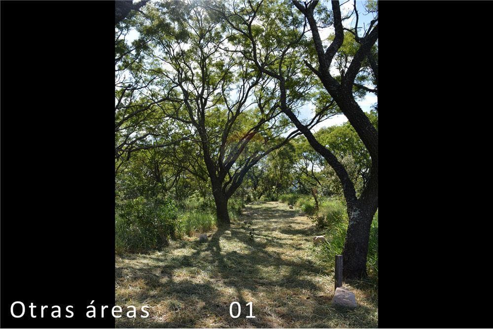 Impresionante propiedad en paraguari- monte matteo, foto 1