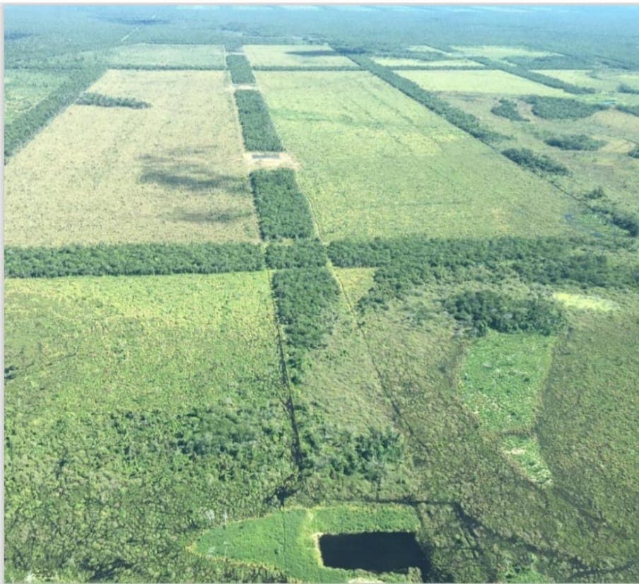 Estancia de 20.000 Hectáreas en la Zona Este de Alto Paraguay-CLCS7606330 — foto 1