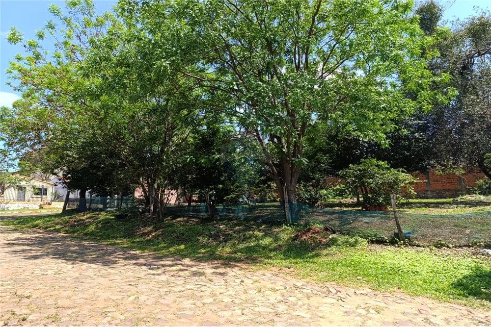 Terreno en venta Villa Elisa zona colonia elisa, foto 3