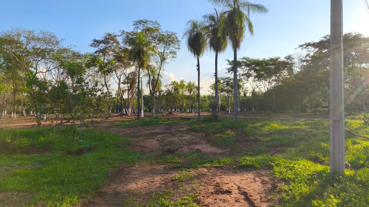 Vendo Lotes En La Ciudad De Luque Itapuami