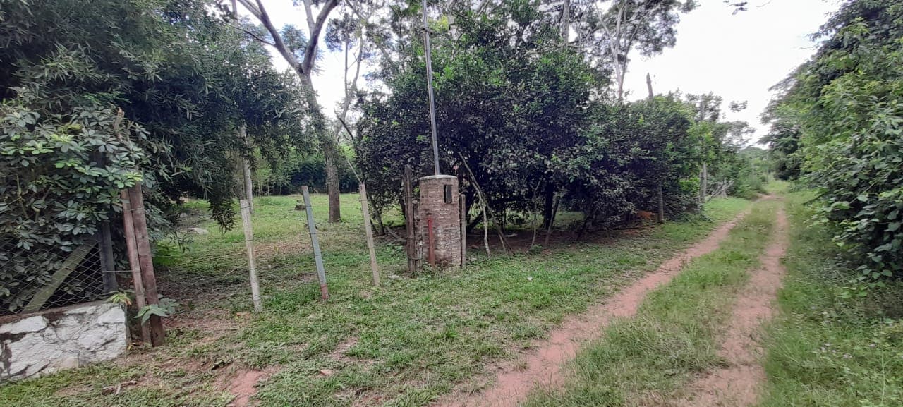 3 terrenos en loma grande, foto 4