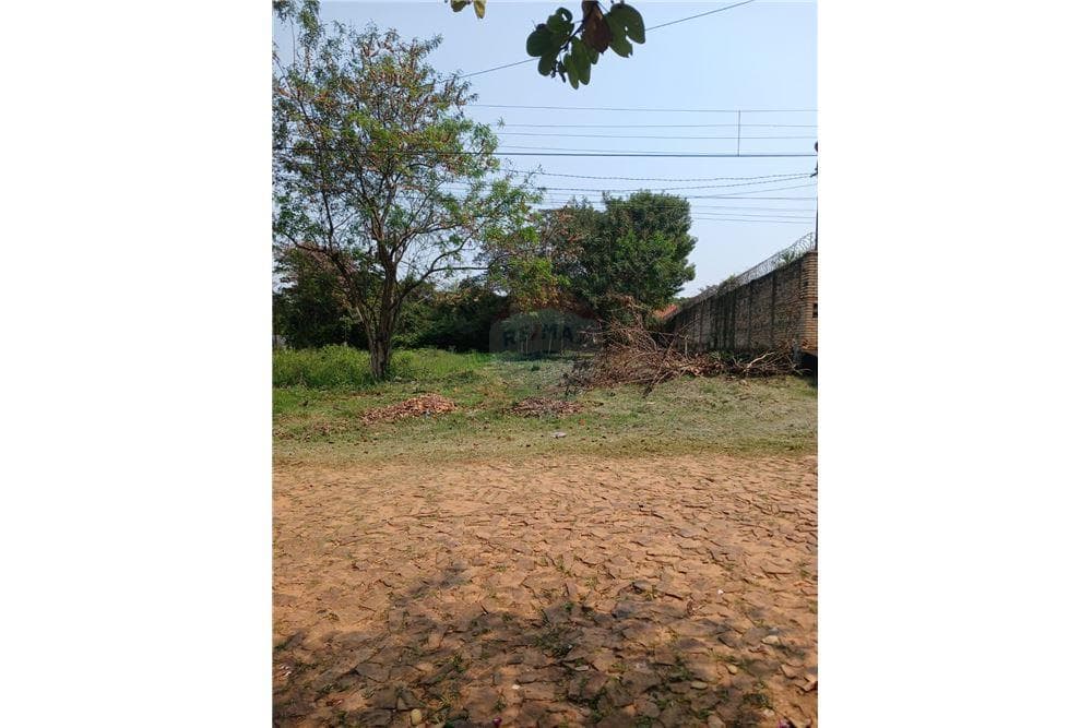 Terreno en Luque loma merlo, foto 2