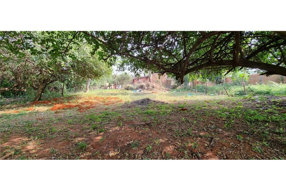 Terreno en San Lorenzo j.a, foto 2