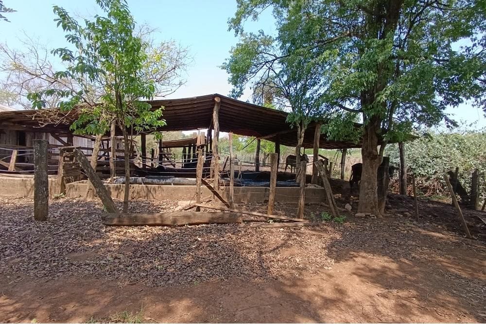 Granja Agrícola - Venta - Paraguay Alto Paraná Minga Guazú, foto 3