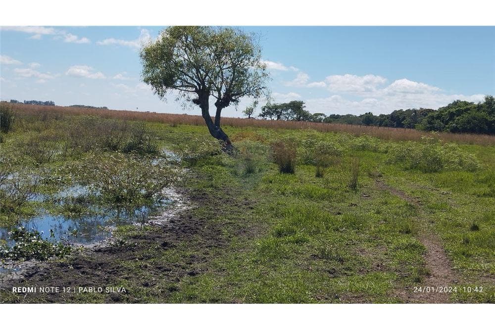 Especial para ganaderia vendo 270ha en ñeembucu estero kamba, foto 1
