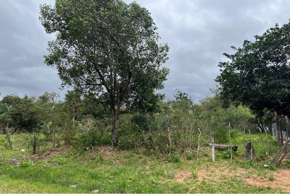 hermoso terreno en Ypacaraí, foto 3
