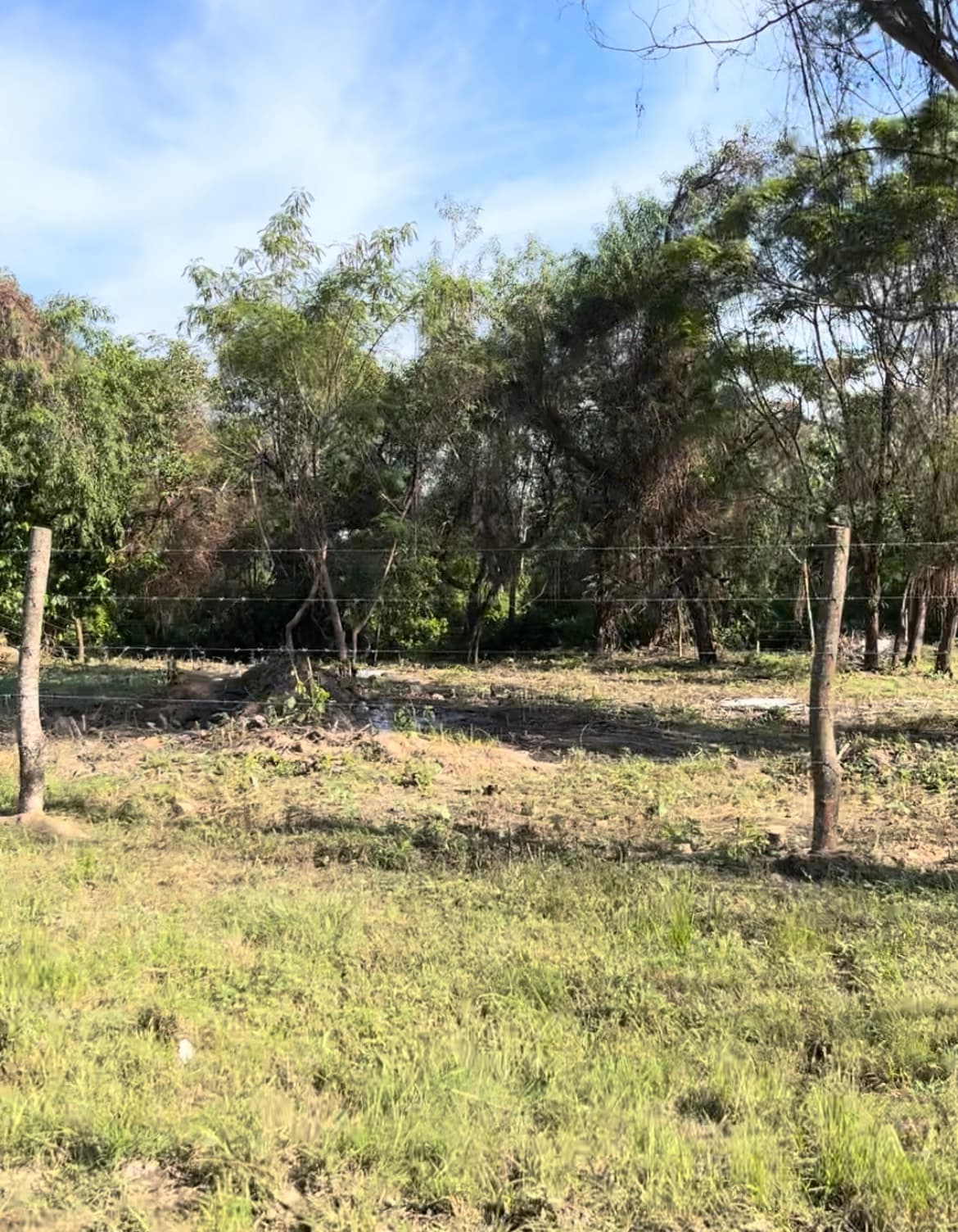 De terreno San Bernardino — foto 5