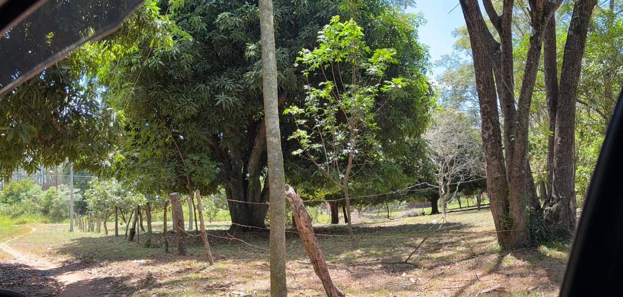 Terreno en venta coronel oviedo, foto 5