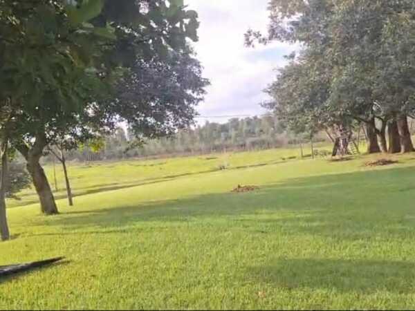 En venta 14 hectareas en hernandarias, foto 3