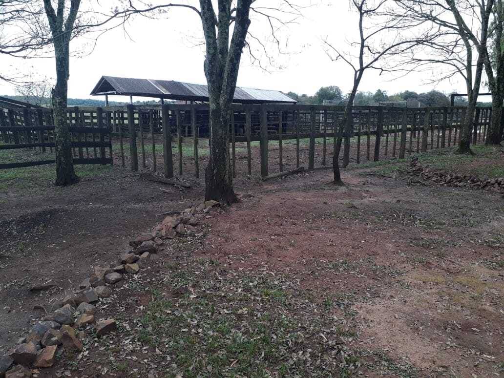 Vendo estancia en san pedro del paraná de 80 hectáreas