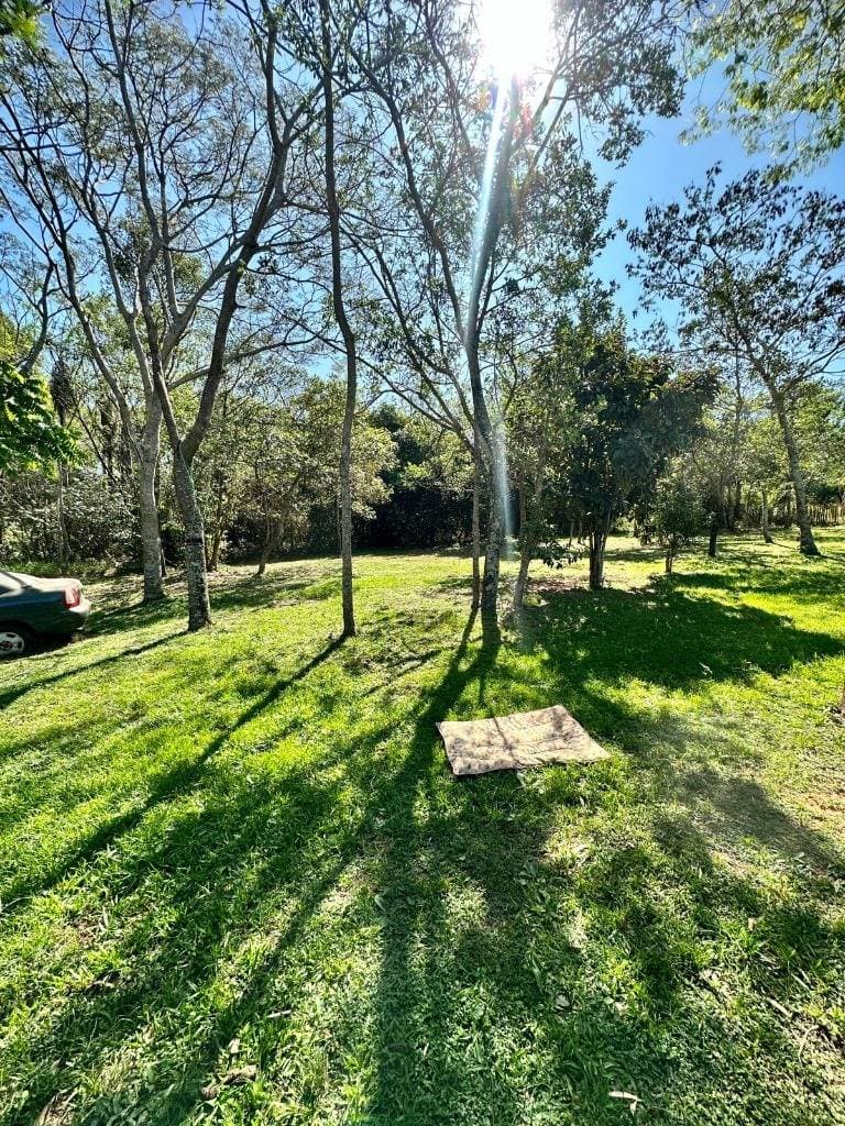 Granja en nueva colombia, foto 2
